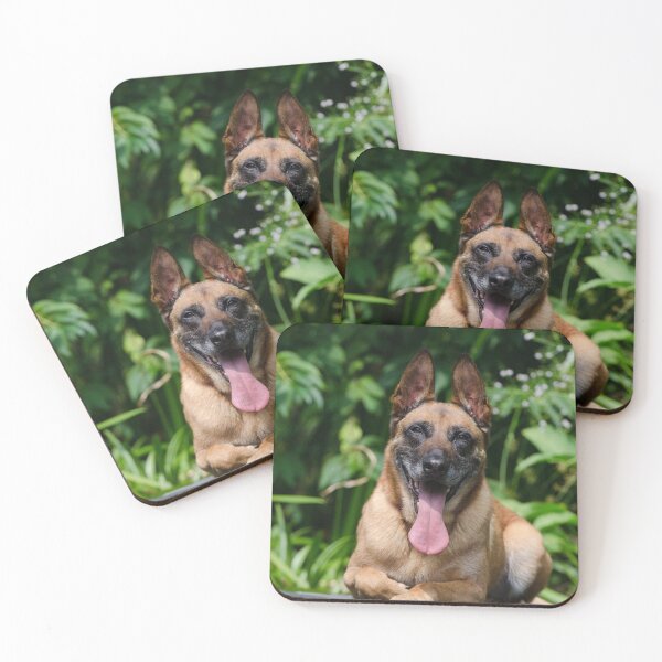Item preview, Belgian Malinois Dog Tired from Exercise designed and sold by VanGaldo.