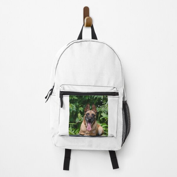Item preview, Belgian Malinois Dog Tired from Exercise designed and sold by VanGaldo.