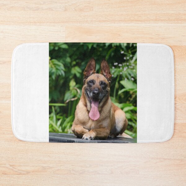 Item preview, Belgian Malinois Dog Tired from Exercise designed and sold by VanGaldo.
