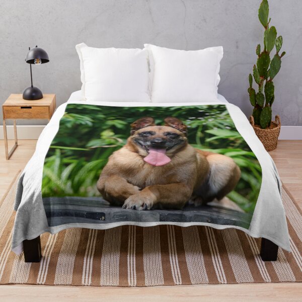 Item preview, Belgian Malinois Dog Tired from Exercise designed and sold by VanGaldo.