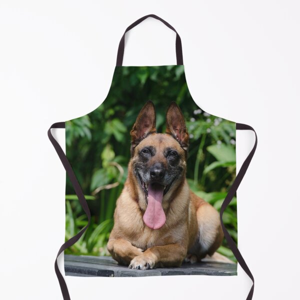 Item preview, Belgian Malinois Dog Tired from Exercise designed and sold by VanGaldo.
