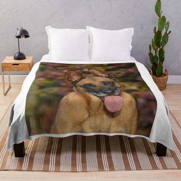Item preview, Calm Curious Belgian Malinois Dog designed and sold by VanGaldo.
