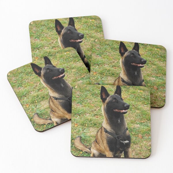 Item preview, Belgian Malinois Dog Stays on Guard designed and sold by VanGaldo.