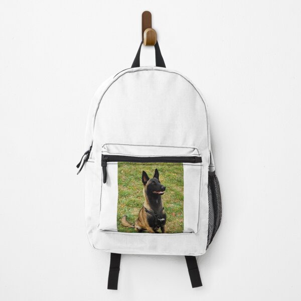 Item preview, Belgian Malinois Dog Stays on Guard designed and sold by VanGaldo.