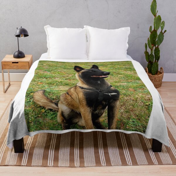 Item preview, Belgian Malinois Dog Stays on Guard designed and sold by VanGaldo.