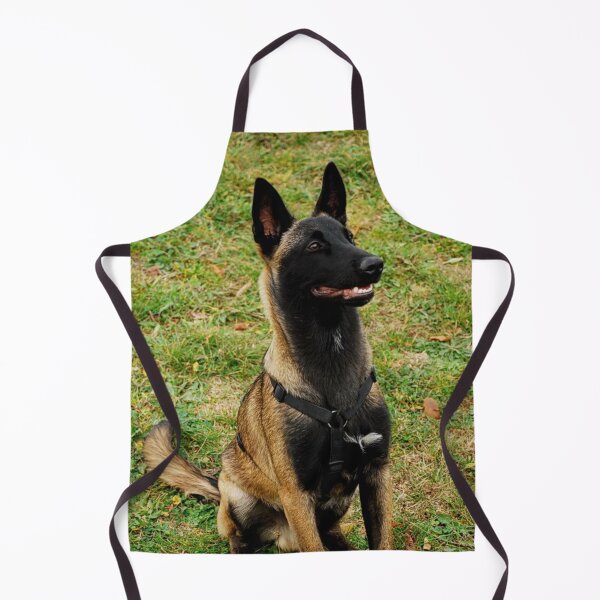 Item preview, Belgian Malinois Dog Stays on Guard designed and sold by VanGaldo.
