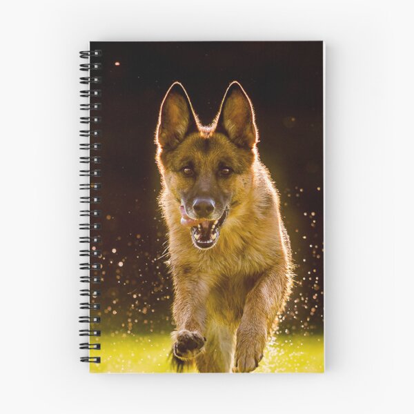 Item preview, Running Belgian Malinois Dog designed and sold by VanGaldo.