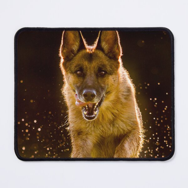Item preview, Running Belgian Malinois Dog designed and sold by VanGaldo.