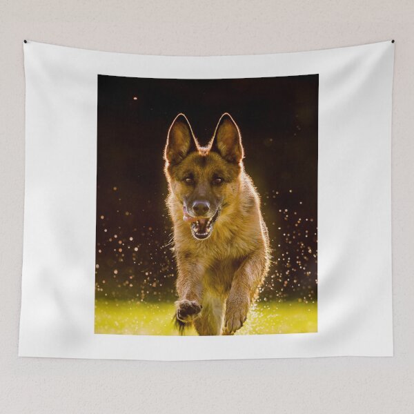 Item preview, Running Belgian Malinois Dog designed and sold by VanGaldo.