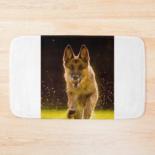 Item preview, Running Belgian Malinois Dog designed and sold by VanGaldo.