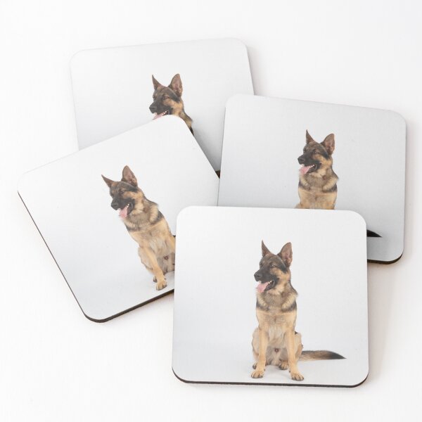 Item preview, Adorable in Studio Belgian Malinois Dog designed and sold by VanGaldo.