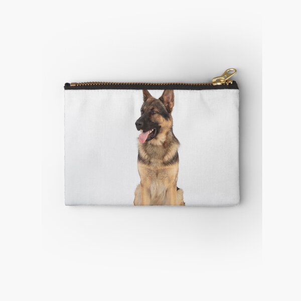 Item preview, Adorable in Studio Belgian Malinois Dog designed and sold by VanGaldo.