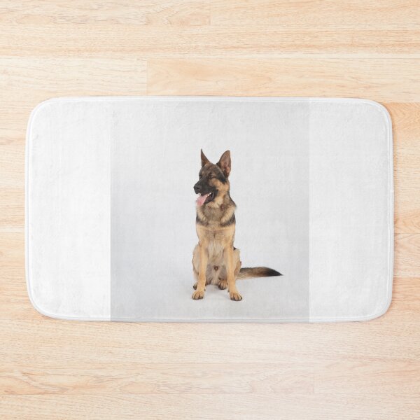 Item preview, Adorable in Studio Belgian Malinois Dog designed and sold by VanGaldo.