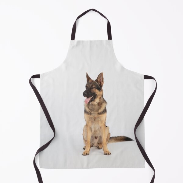 Item preview, Adorable in Studio Belgian Malinois Dog designed and sold by VanGaldo.