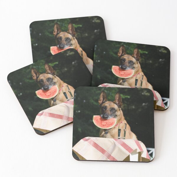 Item preview, Lovely Belgian Malinois Dog Eating Watermelon designed and sold by VanGaldo.