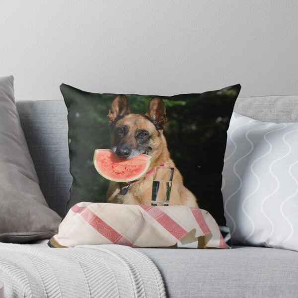 Item preview, Lovely Belgian Malinois Dog Eating Watermelon designed and sold by VanGaldo.