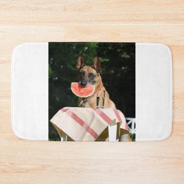 Item preview, Lovely Belgian Malinois Dog Eating Watermelon designed and sold by VanGaldo.