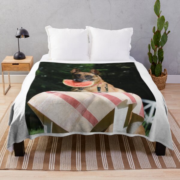 Item preview, Lovely Belgian Malinois Dog Eating Watermelon designed and sold by VanGaldo.