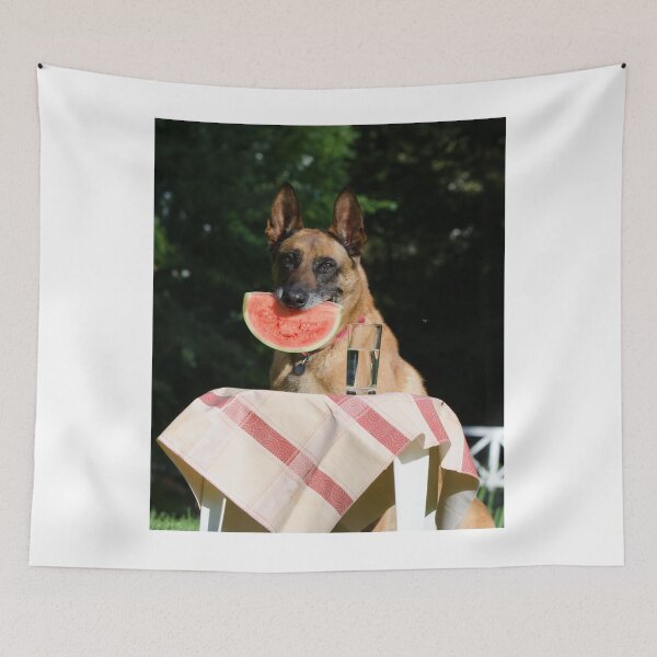 Item preview, Lovely Belgian Malinois Dog Eating Watermelon designed and sold by VanGaldo.