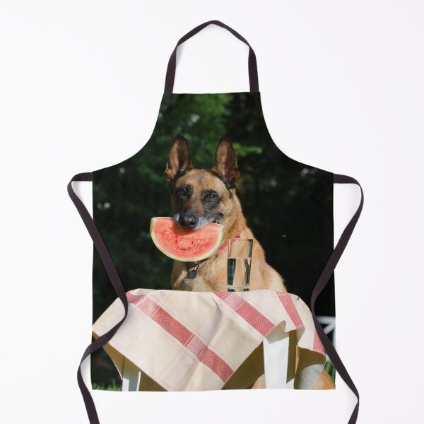 Item preview, Lovely Belgian Malinois Dog Eating Watermelon designed and sold by VanGaldo.