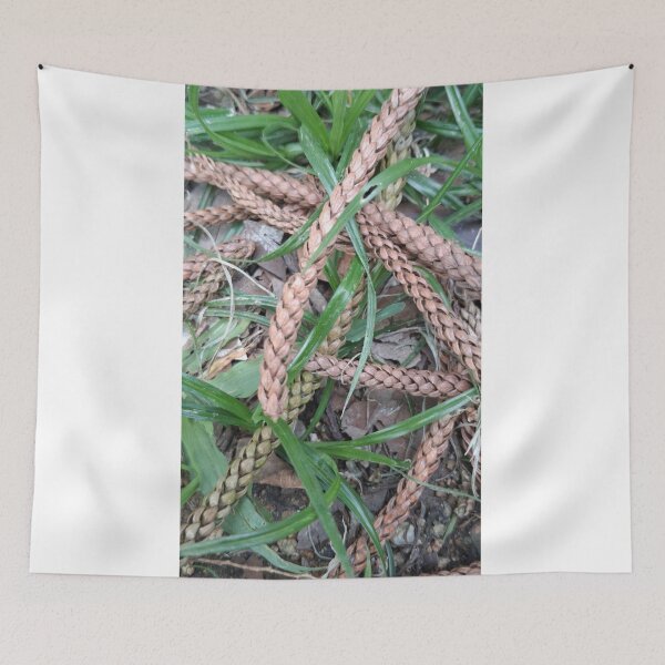 Item preview, Vintage Grass Flower Nature Macro Botanical Photo designed and sold by ChotipahArt.