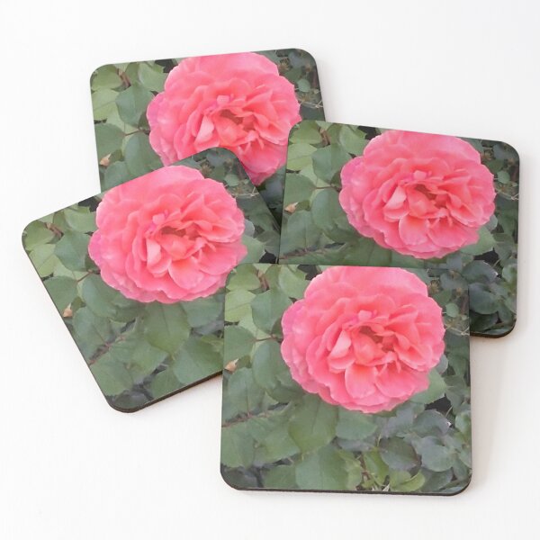 Artikelvorschau, Pinke Rose entworfen und verkauft von PhotosByJG.