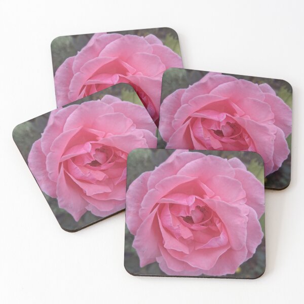 Artikelvorschau, Hellrosa Rose entworfen und verkauft von PhotosByJG.