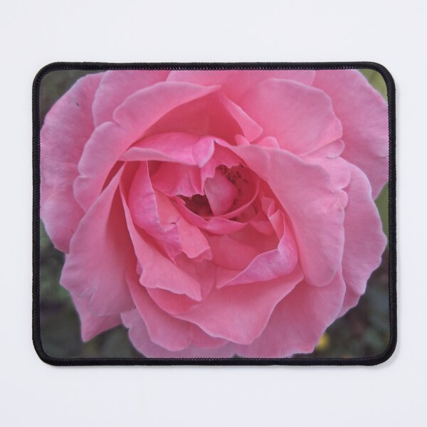 Item preview, Light pink rose  designed and sold by PhotosByJG.