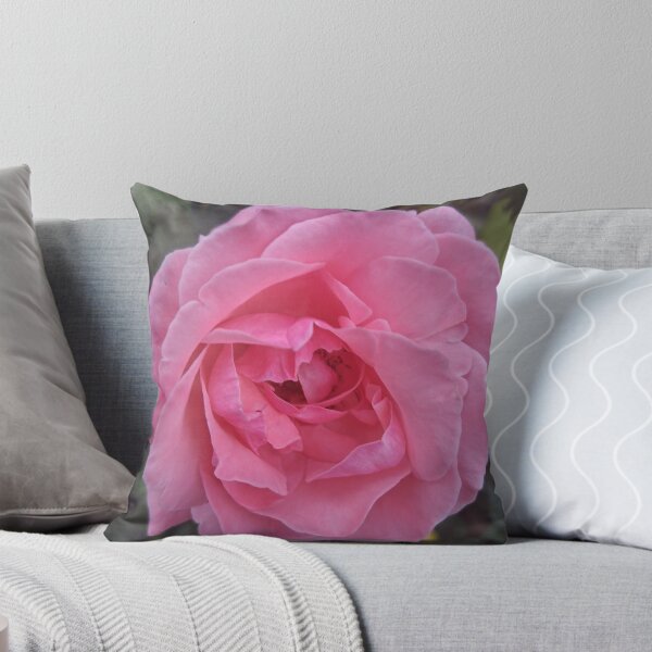Item preview, rosa rosa claro designed and sold by PhotosByJG.