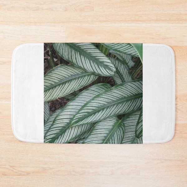 Item preview, Vintage Green Tropical Leaf Botanical Nature Photo designed and sold by ChotipahArt.