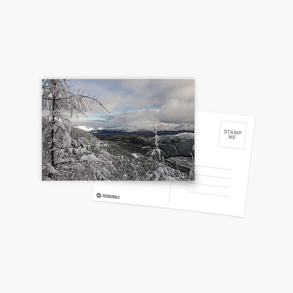 Hamner Springs. Postcard