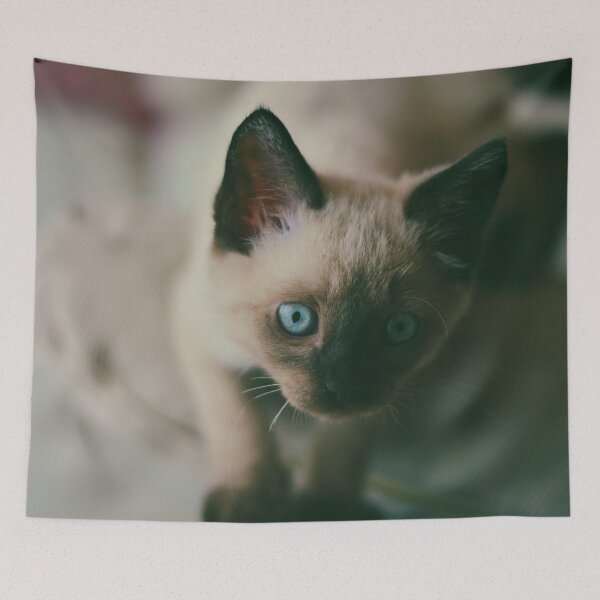 Item preview, The Cutest cat designed and sold by Cristopher Ponso.