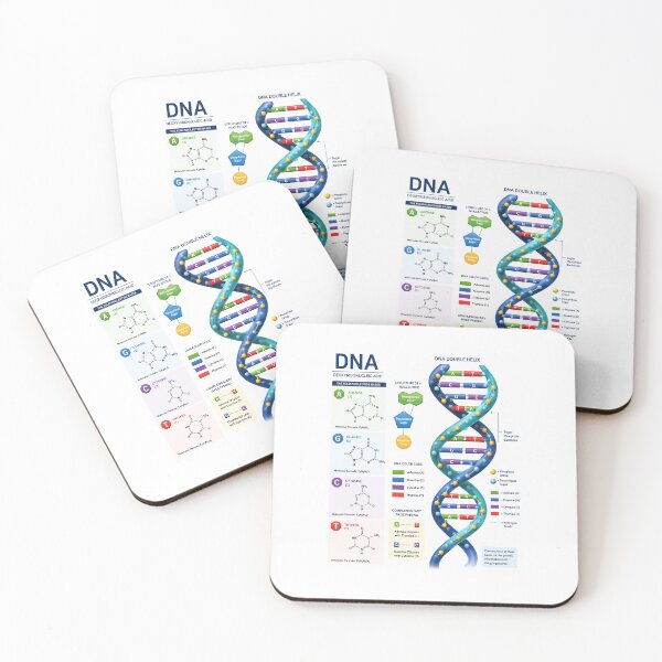 Item preview, DNA Structure with nucleotides designed and sold by Jyoti  Rajput.