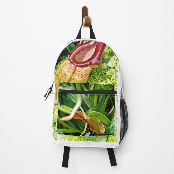 Item preview, Fotografía botánica de la planta carnívora Nepenthes roja antigua designed and sold by ChotipahArt.