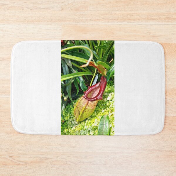 Item preview, Fotografía botánica de la planta carnívora Nepenthes roja antigua designed and sold by ChotipahArt.