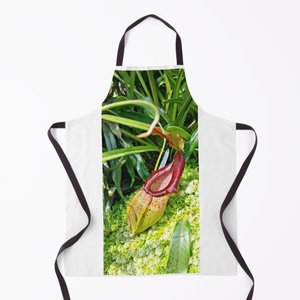 Item preview, Vintage Red Nepenthes Pitcher Plant Botanical Photo designed and sold by ChotipahArt.
