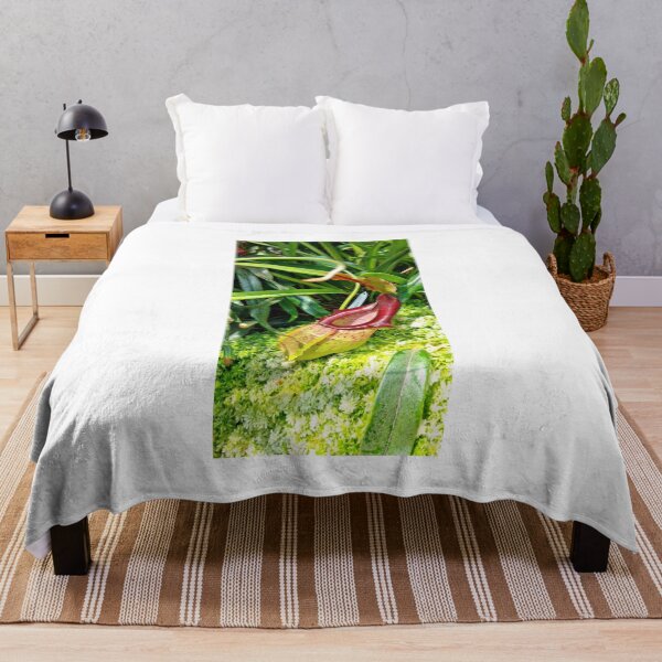 Item preview, Vintage Red Nepenthes Pitcher Plant Botanical Photo designed and sold by ChotipahArt.
