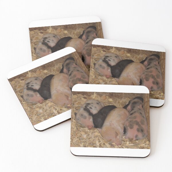 Item preview, lechones designed and sold by DaezieDepictions.