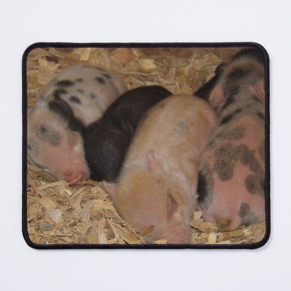 Item preview, piglets designed and sold by DaezieDepictions.