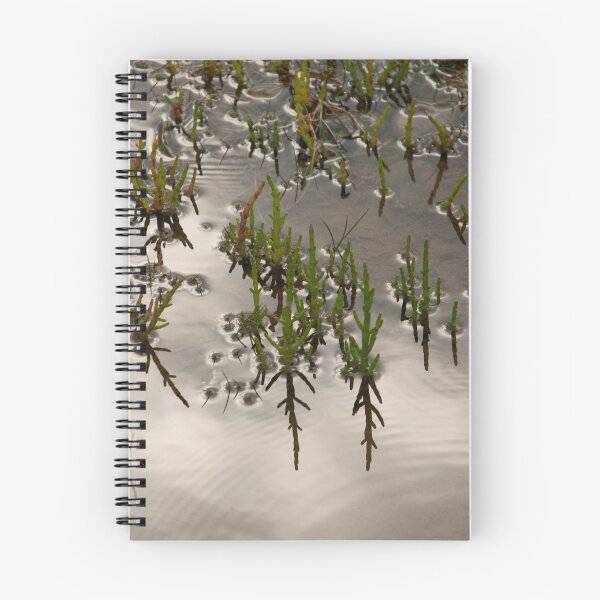 Item preview, Samphire at Salthouse, Norfolk. designed and sold by Billlee.