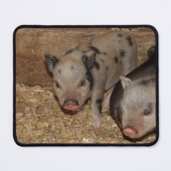 Item preview, Mini Piglets designed and sold by DaezieDepictions.