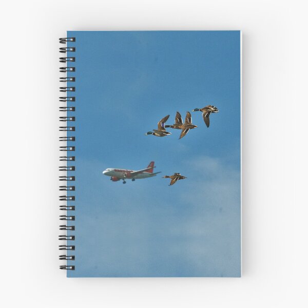 Item preview, Fly high designed and sold by EmmeBi-graphic.