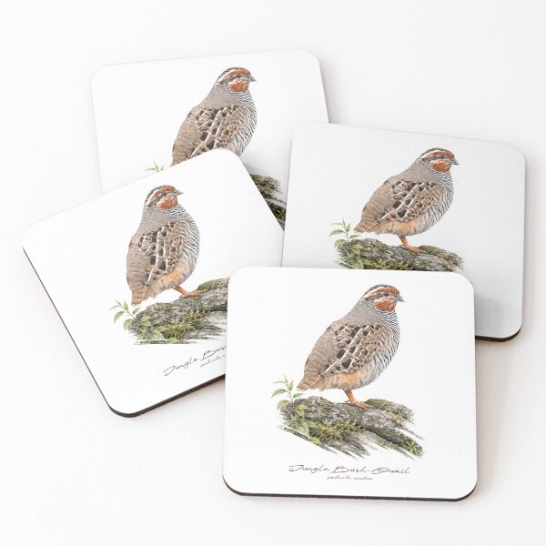 Item preview, Jungle Bush-Quail on Mossy Rock Bird Illustration designed and sold by Takeda-art.