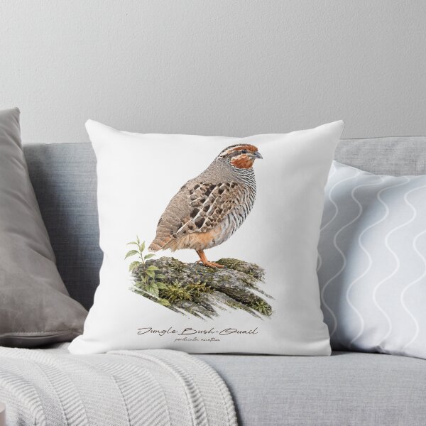 Item preview, Jungle Bush-Quail on Mossy Rock Bird Illustration designed and sold by Takeda-art.