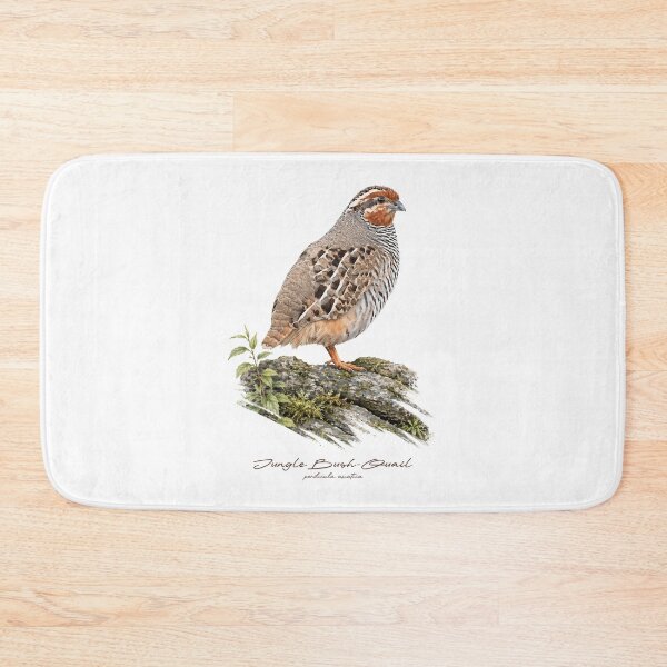 Item preview, Jungle Bush-Quail on Mossy Rock Bird Illustration designed and sold by Takeda-art.
