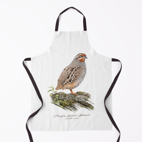 Item preview, Jungle Bush-Quail on Mossy Rock Bird Illustration designed and sold by Takeda-art.