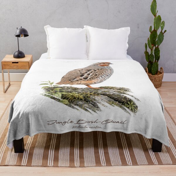 Item preview, Jungle Bush-Quail on Mossy Rock Bird Illustration designed and sold by Takeda-art.