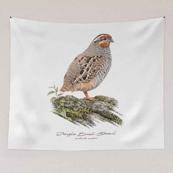 Item preview, Jungle Bush-Quail on Mossy Rock Bird Illustration designed and sold by Takeda-art.