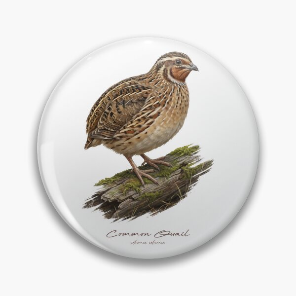 Item preview, Common Quail on Mossy Log Bird Illustration designed and sold by Takeda-art.