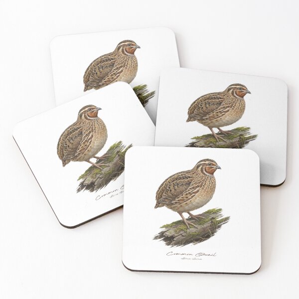 Item preview, Common Quail on Mossy Log Bird Illustration designed and sold by Takeda-art.